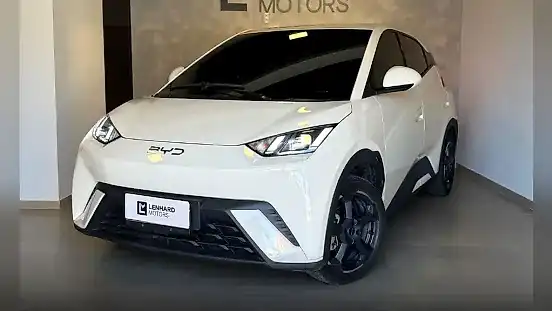 Foto de um byd dolphin mini