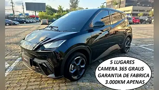 Foto de um byd dolphin mini