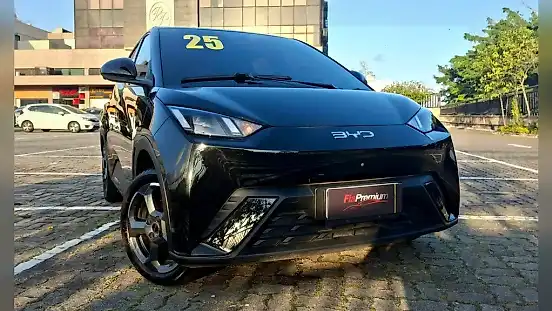 Foto de um byd dolphin mini