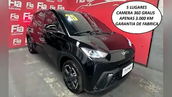 Foto de um byd dolphin mini