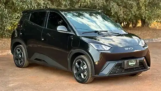 Foto de um byd dolphin mini