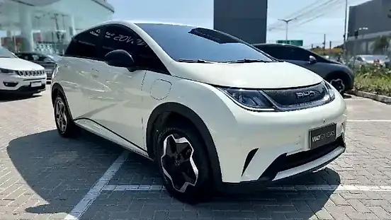 Foto de um byd dolphin