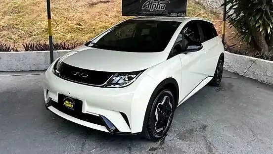 Foto de um byd dolphin