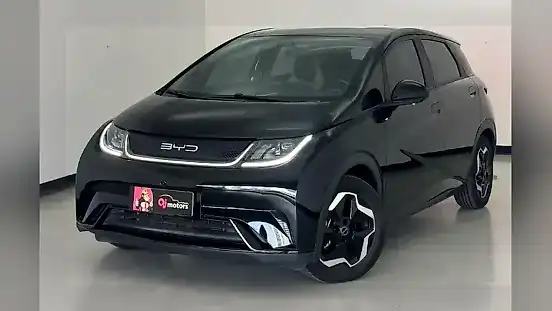 Foto de um byd dolphin
