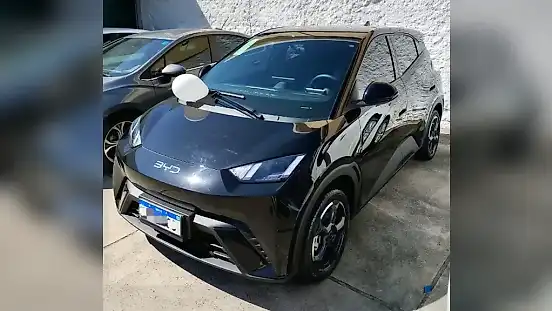 Foto de um byd dolphin mini