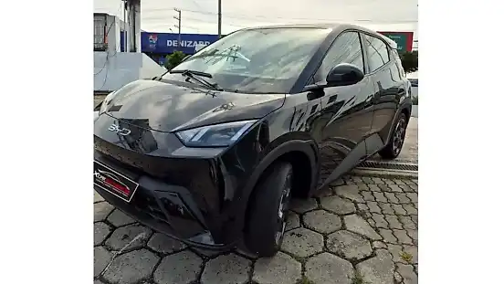 Foto de um byd dolphin