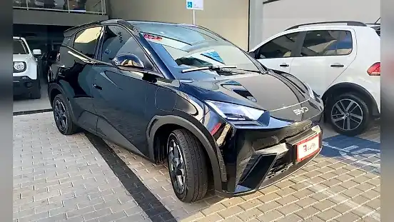 Foto de um byd dolphin mini