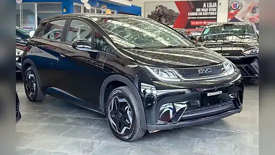 Foto de um byd dolphin mini
