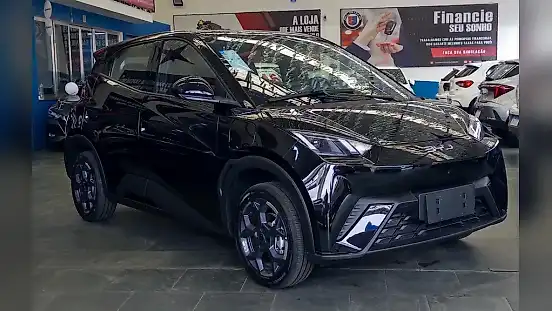 Foto de um byd dolphin mini