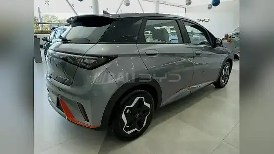 Foto de um byd dolphin