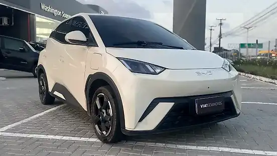 Foto de um byd dolphin mini