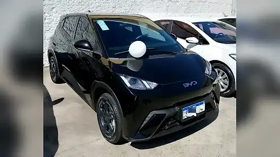 Foto de um byd dolphin mini