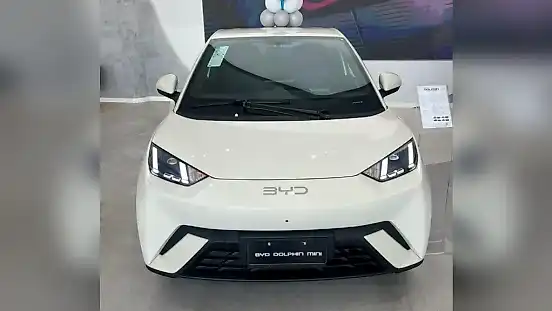 Foto de um byd dolphin mini