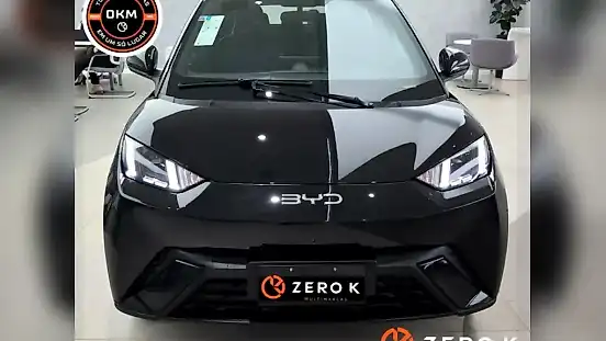 Foto de um byd dolphin mini