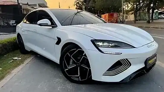 Foto de um byd seal