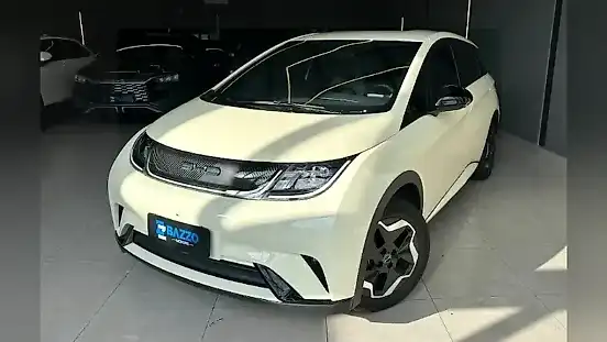 Foto de um byd dolphin