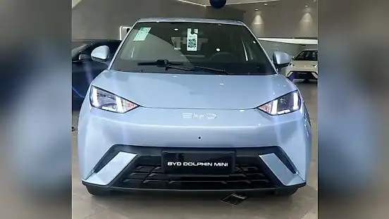 Foto de um byd dolphin mini