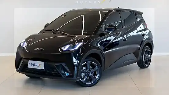 Foto de um byd dolphin mini