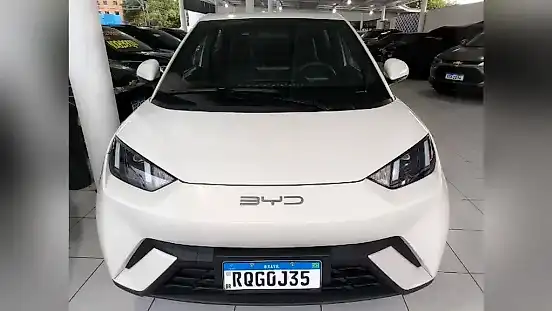 Foto de um byd dolphin mini