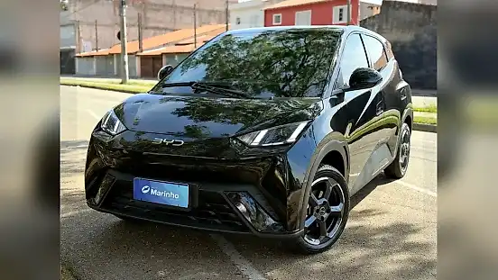 Foto de um byd dolphin