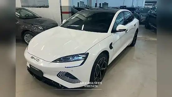 Foto de um byd seal