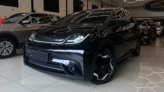 Foto de um byd dolphin