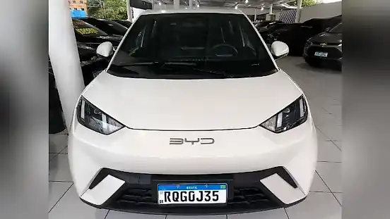 Foto de um byd dolphin mini