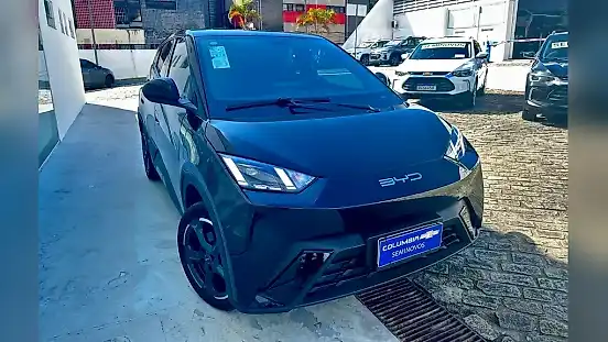 Foto de um byd dolphin mini