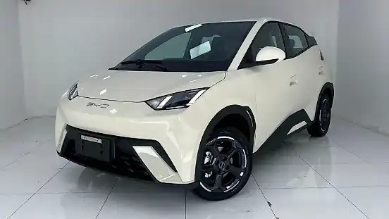 Foto de um byd dolphin