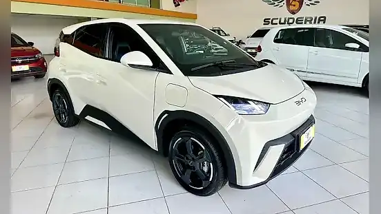 Foto de um byd dolphin mini