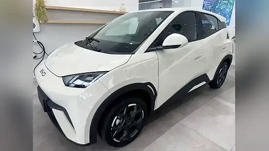 Foto de um byd dolphin