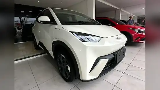Foto de um byd dolphin mini