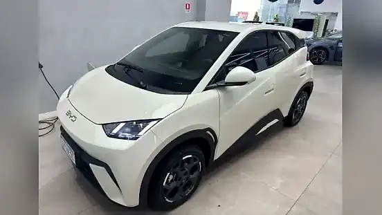 Foto de um byd dolphin mini