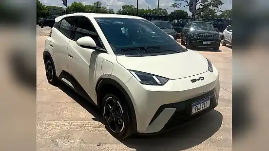 Foto de um byd dolphin mini