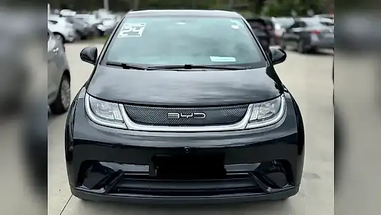 Foto de um byd dolphin
