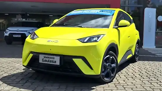 Foto de um byd dolphin mini