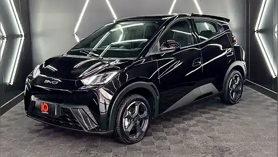 Foto de um byd dolphin mini