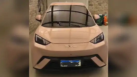 Foto de um byd dolphin mini