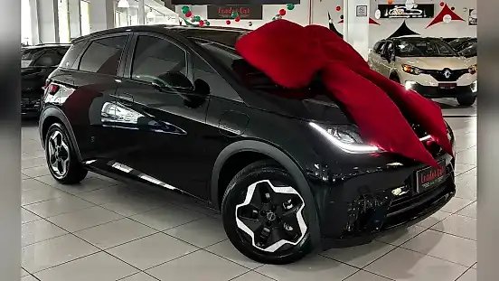 Foto de um byd dolphin