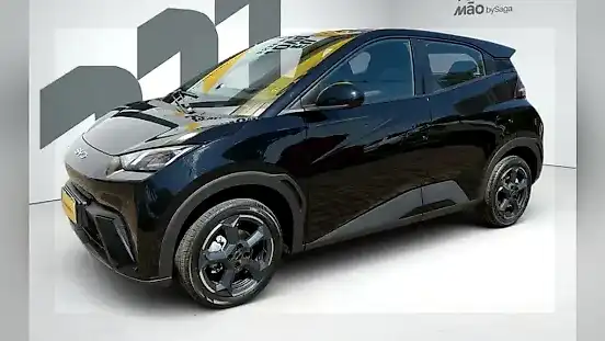 Foto de um byd dolphin mini
