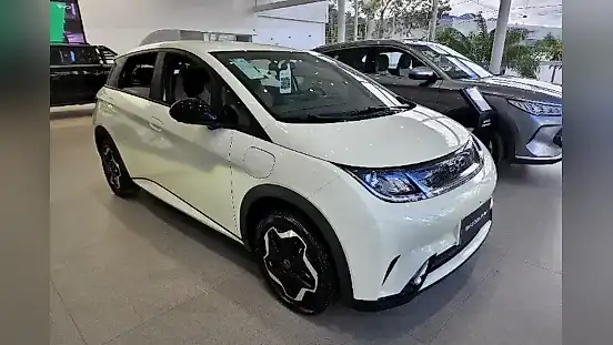 Foto de um byd dolphin
