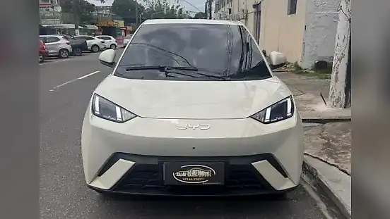 Foto de um byd dolphin mini