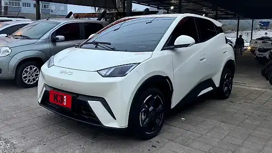 Foto de um byd dolphin mini