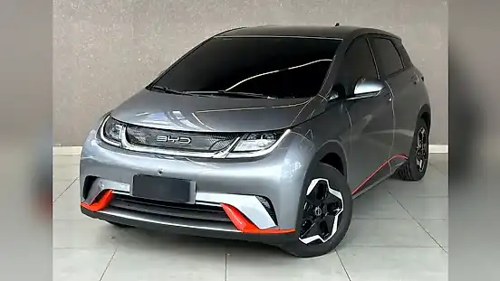 Foto de um byd dolphin