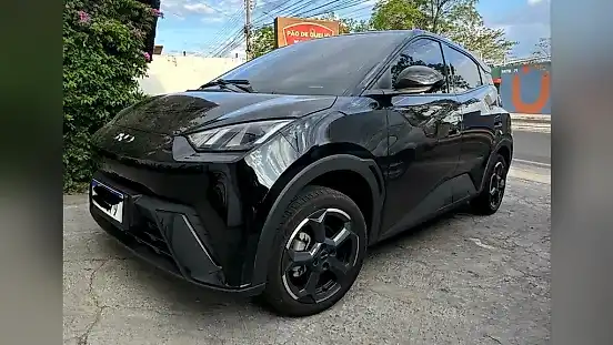 Foto de um byd dolphin mini