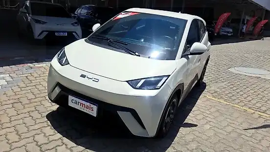 Foto de um byd dolphin mini