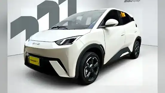 Foto de um byd dolphin mini