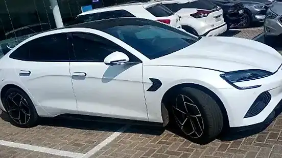 Foto de um byd seal
