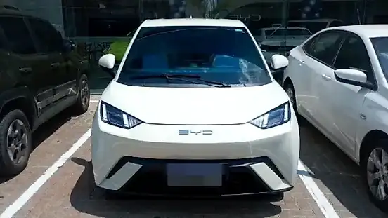 Foto de um byd dolphin mini