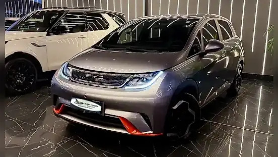 Foto de um byd dolphin
